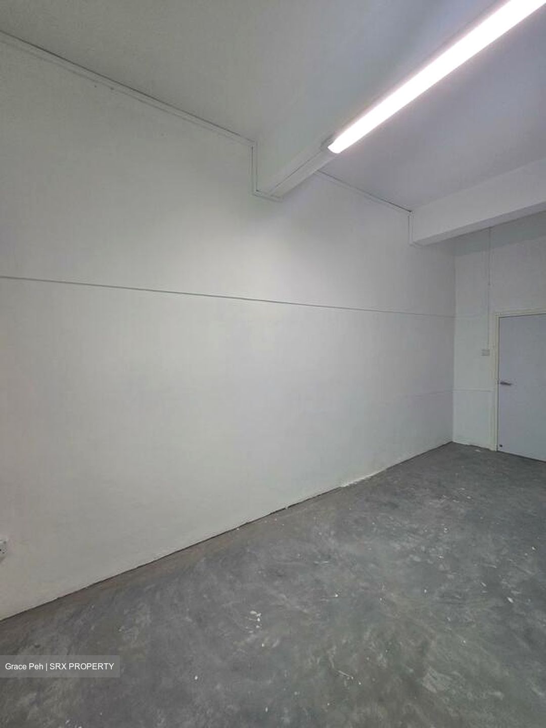 Carlisle Road (D8), Office #500574741